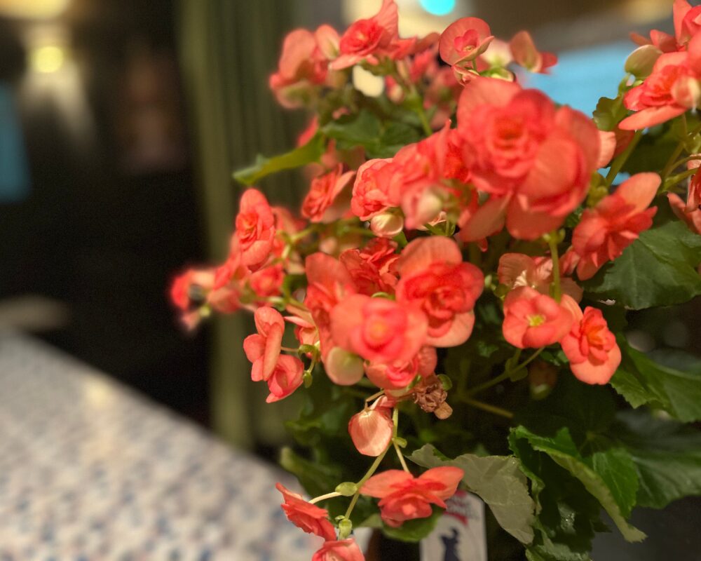 茨城県水戸市栄町・大工町のタイ古式マッサージ・さくらの店内